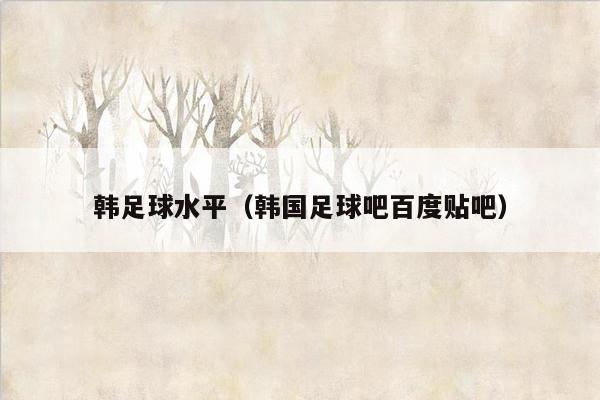 韩足球水平（韩国足球吧百度贴吧）