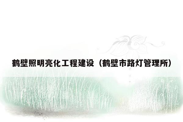 鹤壁照明亮化工程建设（鹤壁市路灯管理所）