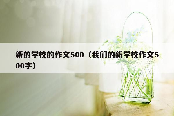 新的学校的作文500（我们的新学校作文500字）