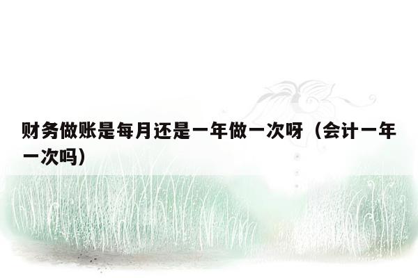财务做账是每月还是一年做一次呀（会计一年一次吗）