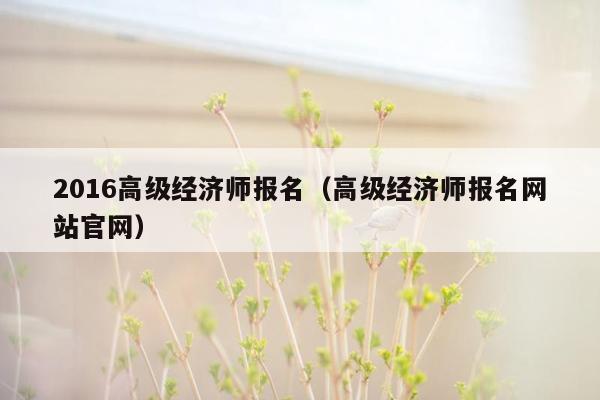 2016高级经济师报名（高级经济师报名网站官网）