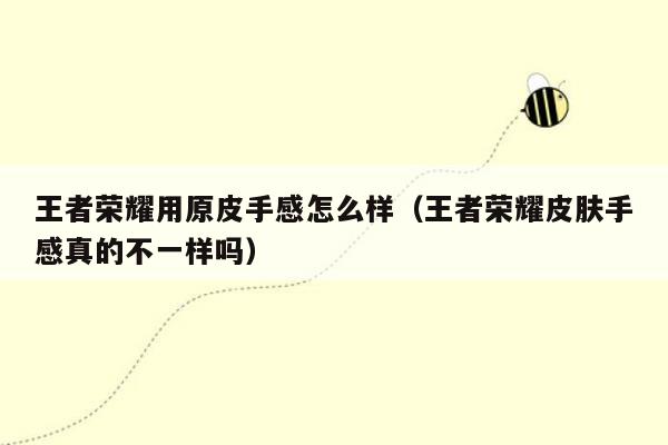 王者荣耀用原皮手感怎么样（王者荣耀皮肤手感真的不一样吗）