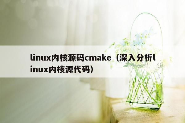 linux内核源码cmake（深入分析linux内核源代码）