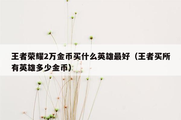 王者荣耀2万金币买什么英雄最好（王者买所有英雄多少金币）