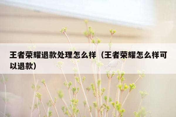 王者荣耀退款处理怎么样（王者荣耀怎么样可以退款）