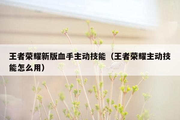 王者荣耀新版血手主动技能（王者荣耀主动技能怎么用）