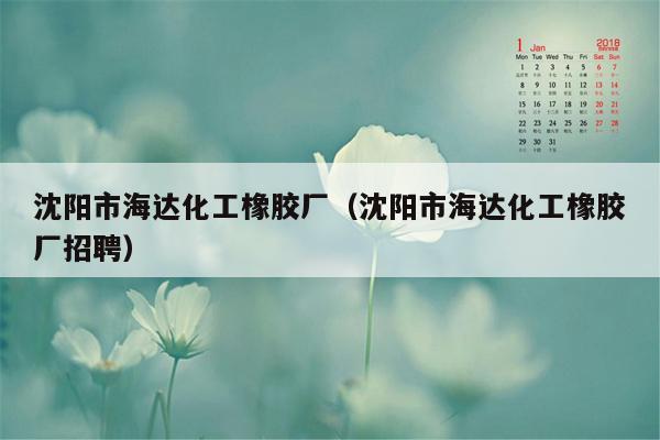 沈阳市海达化工橡胶厂（沈阳市海达化工橡胶厂招聘）