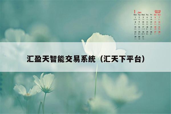 汇盈天智能交易系统（汇天下平台）