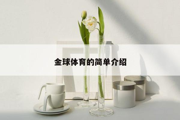 金球体育的简单介绍