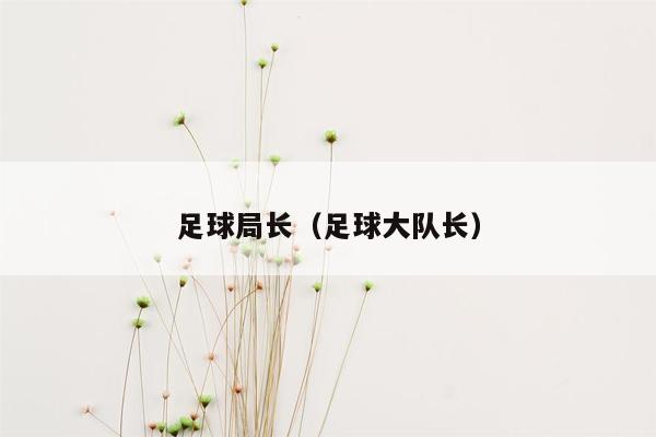 足球局长（足球大队长）