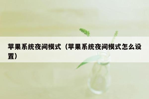 苹果系统夜间模式（苹果系统夜间模式怎么设置）