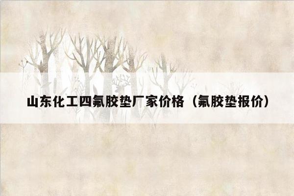 山东化工四氟胶垫厂家价格（氟胶垫报价）