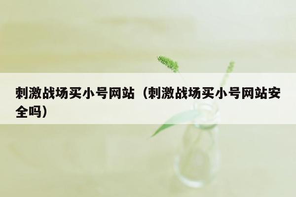 刺激战场买小号网站（刺激战场买小号网站安全吗）
