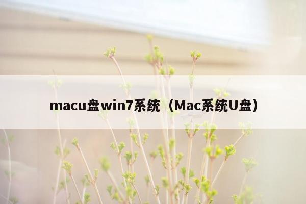macu盘win7系统（Mac系统U盘）