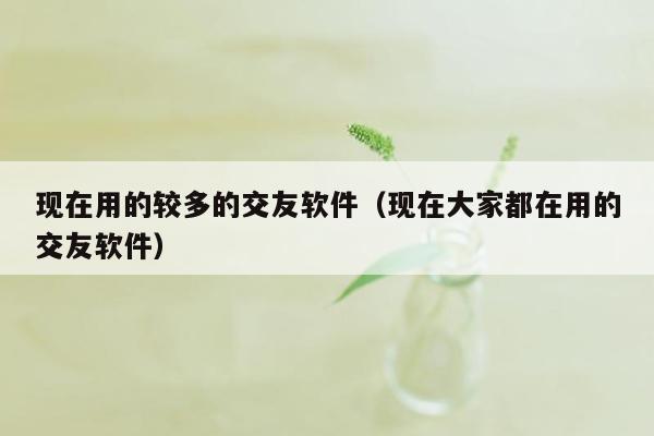 现在用的较多的交友软件（现在大家都在用的交友软件）
