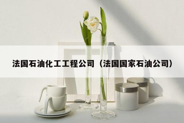 法国石油化工工程公司（法国国家石油公司）