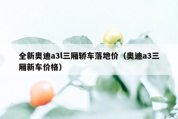 全新奥迪a3l三厢轿车落地价（奥迪a3三厢新车价格）