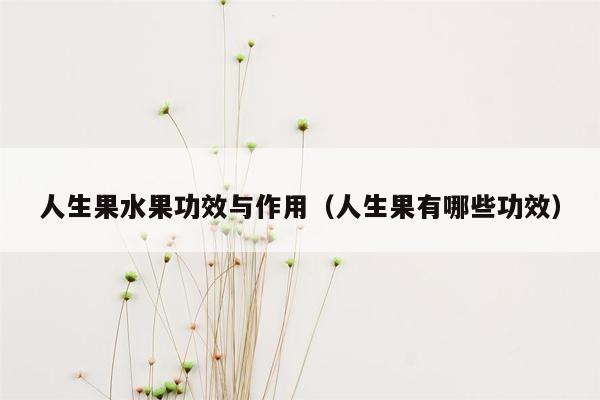 人生果水果功效与作用（人生果有哪些功效）
