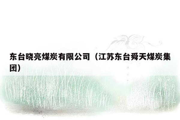 东台晓亮煤炭有限公司（江苏东台舜天煤炭集团）