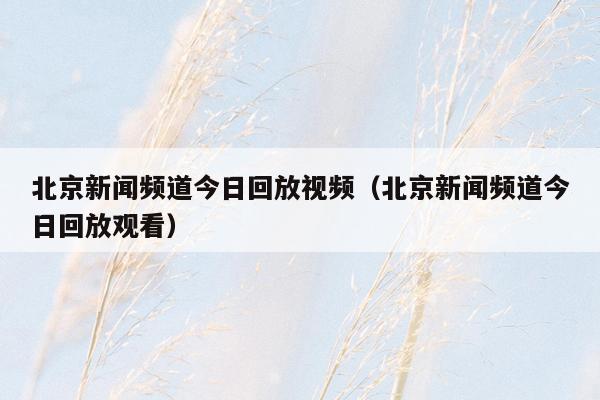 北京新闻频道今日回放视频（北京新闻频道今日回放观看）