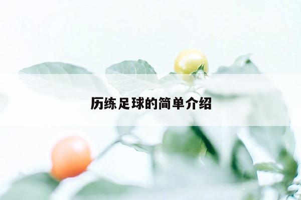 历练足球的简单介绍