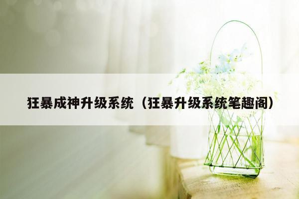 狂暴成神升级系统（狂暴升级系统笔趣阁）