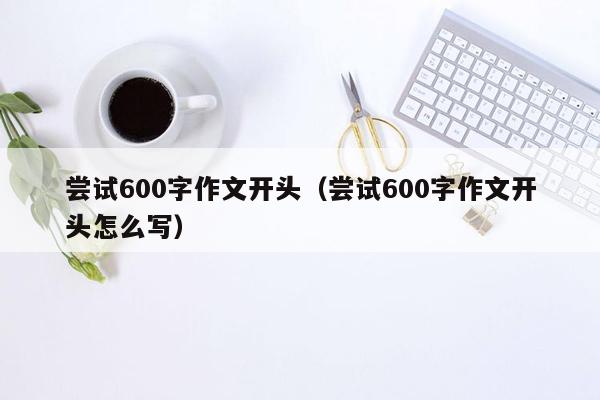 尝试600字作文开头（尝试600字作文开头怎么写）