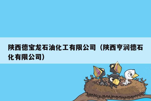 陕西德宝龙石油化工有限公司（陕西亨润德石化有限公司）