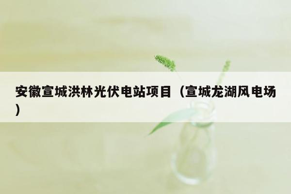 安徽宣城洪林光伏电站项目（宣城龙湖风电场）