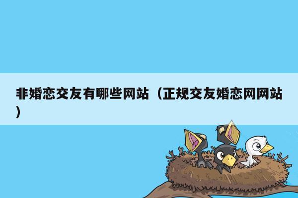非婚恋交友有哪些网站（正规交友婚恋网网站）