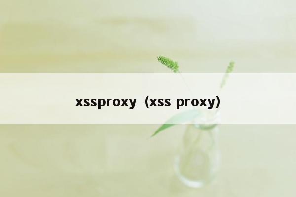 xssproxy（xss proxy）