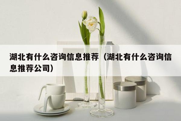 湖北有什么咨询信息推荐（湖北有什么咨询信息推荐公司）