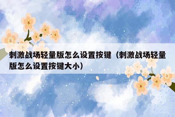刺激战场轻量版怎么设置按键（刺激战场轻量版怎么设置按键大小）