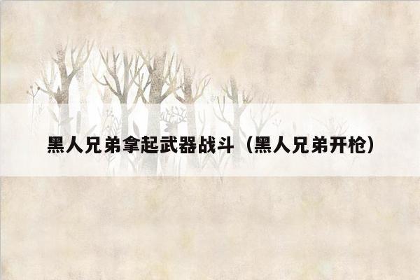 黑人兄弟拿起武器战斗（黑人兄弟开枪）