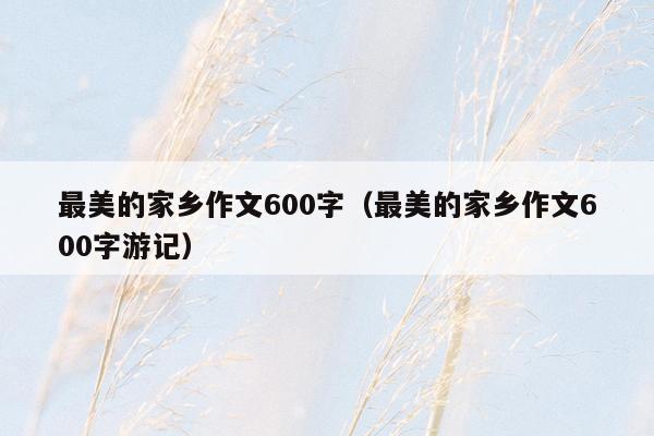 最美的家乡作文600字（最美的家乡作文600字游记）