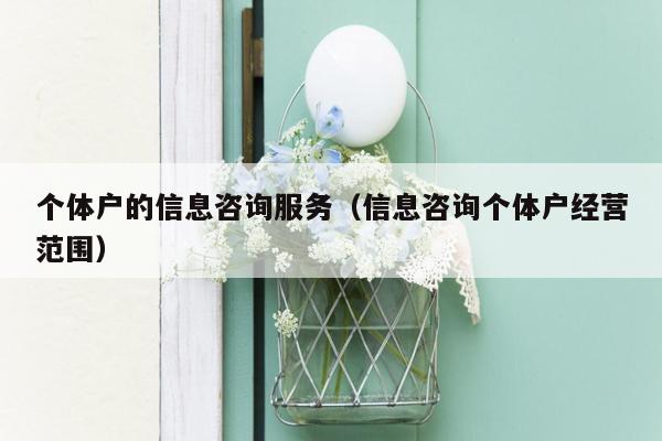 个体户的信息咨询服务（信息咨询个体户经营范围）