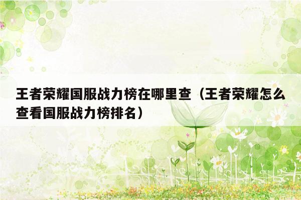 王者荣耀国服战力榜在哪里查（王者荣耀怎么查看国服战力榜排名）