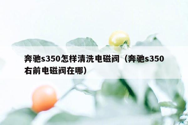 奔驰s350怎样清洗电磁阀（奔驰s350右前电磁阀在哪）