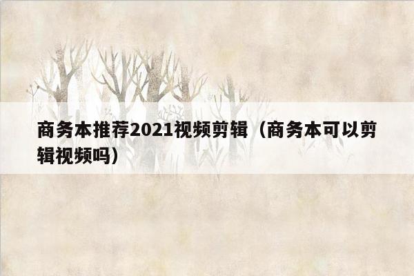 商务本推荐2021视频剪辑（商务本可以剪辑视频吗）