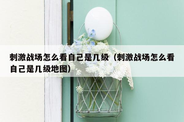 刺激战场怎么看自己是几级（刺激战场怎么看自己是几级地图）
