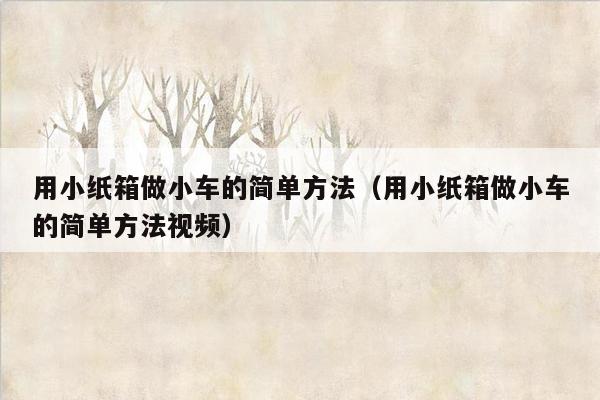 用小纸箱做小车的简单方法（用小纸箱做小车的简单方法视频）