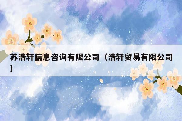 苏浩轩信息咨询有限公司（浩轩贸易有限公司）