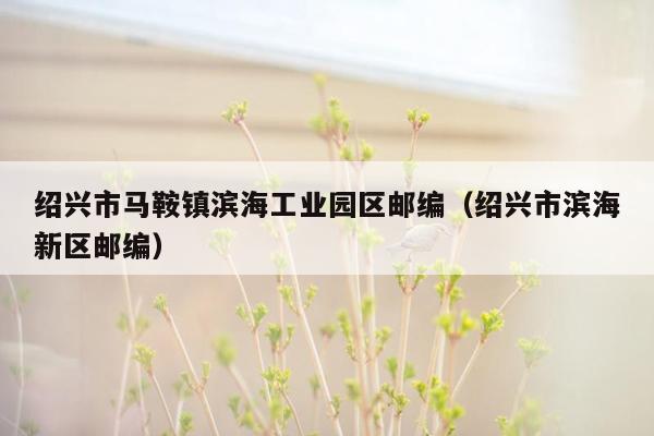 绍兴市马鞍镇滨海工业园区邮编（绍兴市滨海新区邮编）