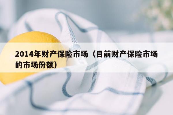 2014年财产保险市场（目前财产保险市场的市场份额）