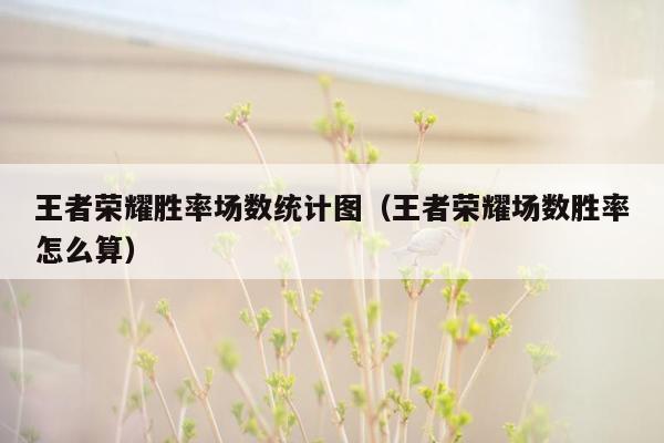 王者荣耀胜率场数统计图（王者荣耀场数胜率怎么算）