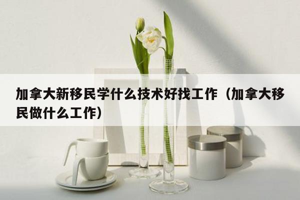 加拿大新移民学什么技术好找工作（加拿大移民做什么工作）