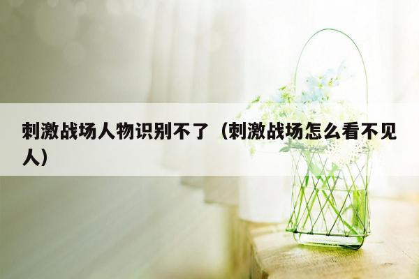刺激战场人物识别不了（刺激战场怎么看不见人）