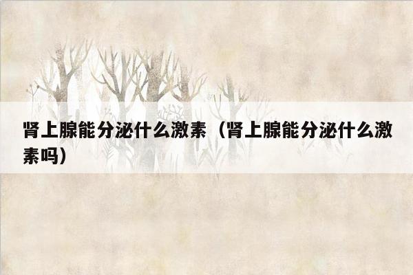 肾上腺能分泌什么激素（肾上腺能分泌什么激素吗）