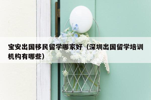 宝安出国移民留学哪家好（深圳出国留学培训机构有哪些）