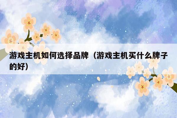 游戏主机如何选择品牌（游戏主机买什么牌子的好）